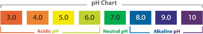 php_chart